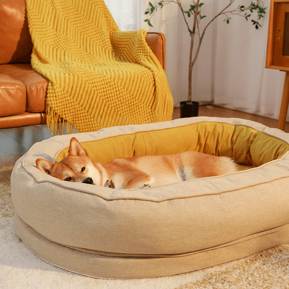 Cama donut para perros — espuma ortopédica, borde alto, antideslizante