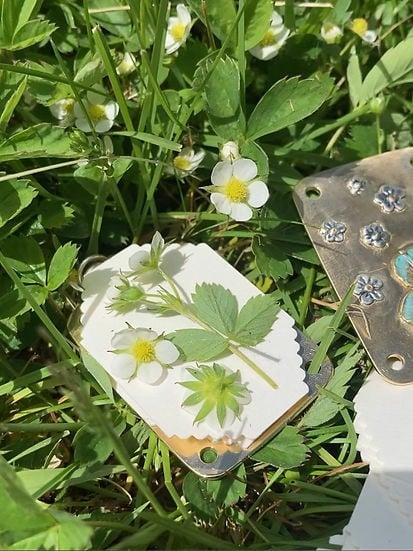 Miniatyrblompress - kompakt press för botaniska blad och kronblad