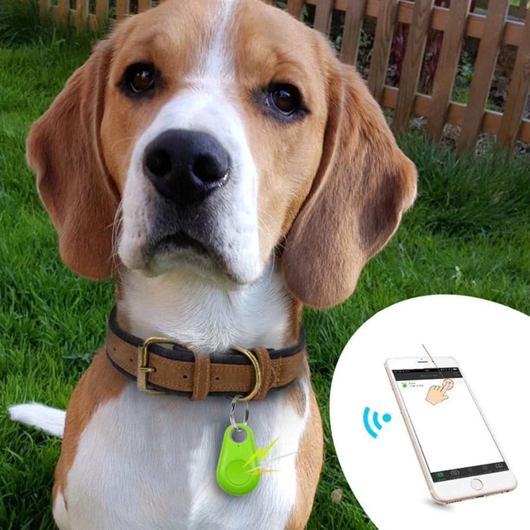 Tracker GPS compact — urmărire în timp real prin aplicație, geofencing