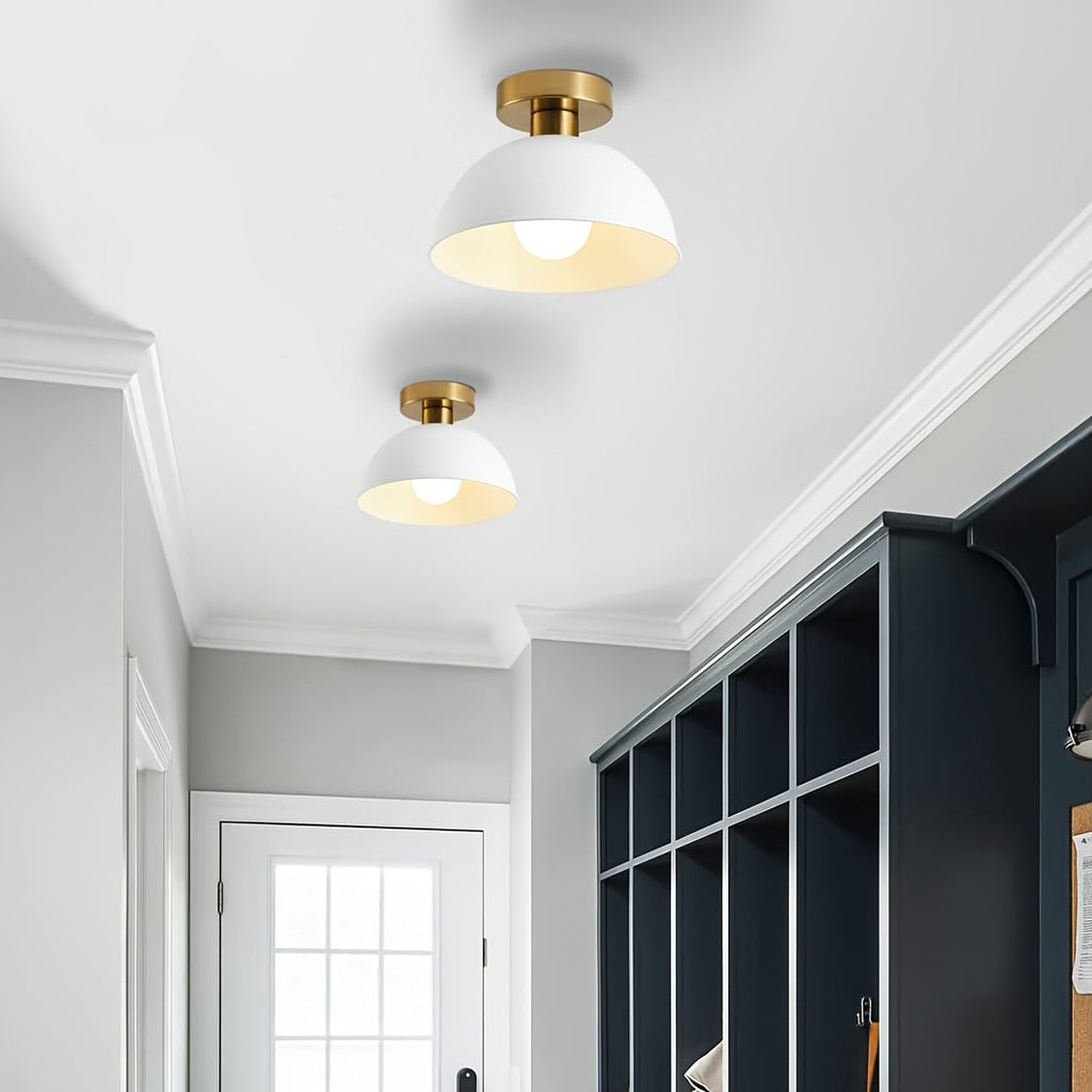 Modern Semi-Flush Ceiling Lamp | Matte Metal Finish | Wildoxy