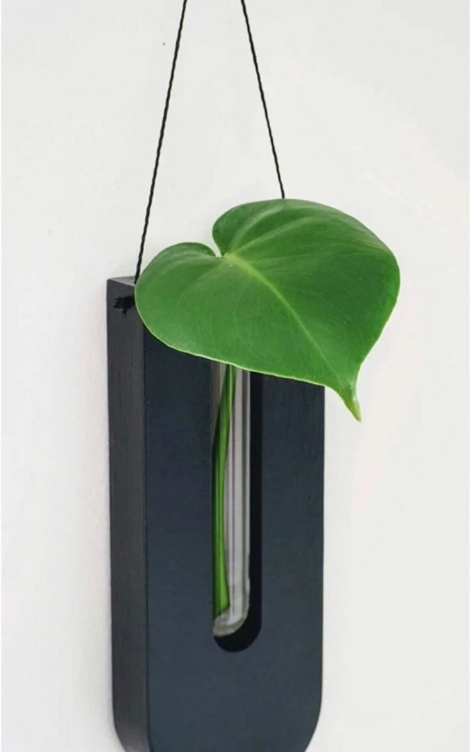 松材製ウォールフラワーホルダー7点セット - 縦型植物ディスプレイ