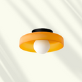Modern LED Ceiling Light | Stylish Flush Mount Lamp | Wildoxy