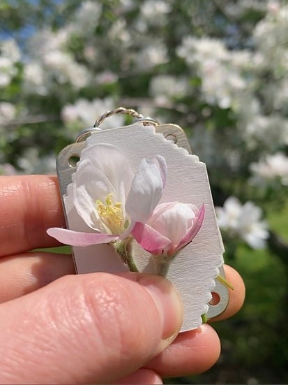 Miniatyrblompress - kompakt press för botaniska blad och kronblad