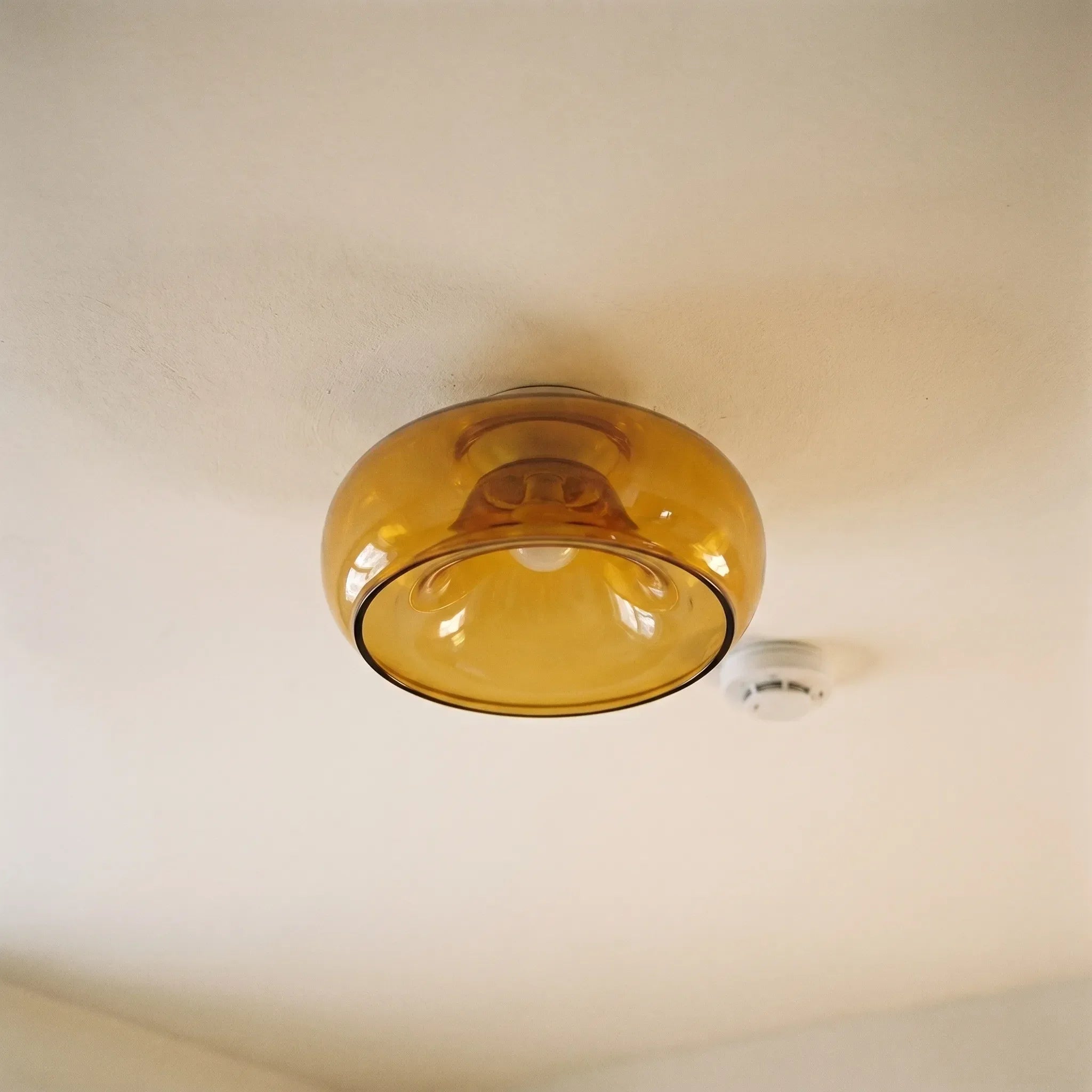 Minimalist Disc Shaped Wall Light -  Ambient Room Lighting - Wildoxy