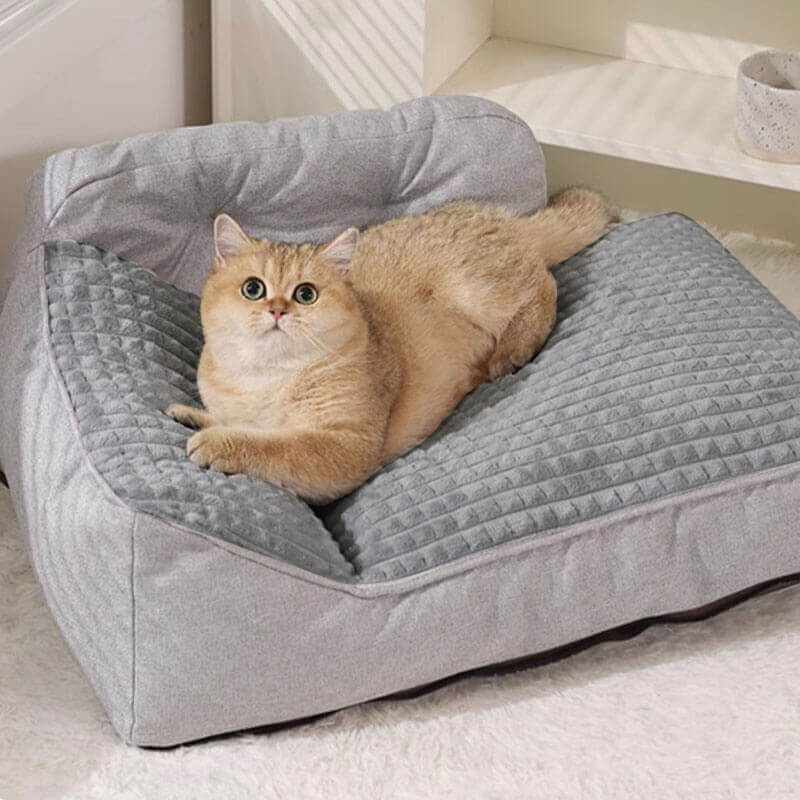 Washable Extra-Thick Plush Pet Cushion for Dogs & Cats
