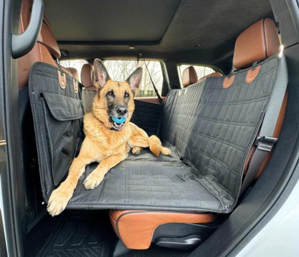 Autohoes voor honden op de achterbank — waterafstotende antislipmat