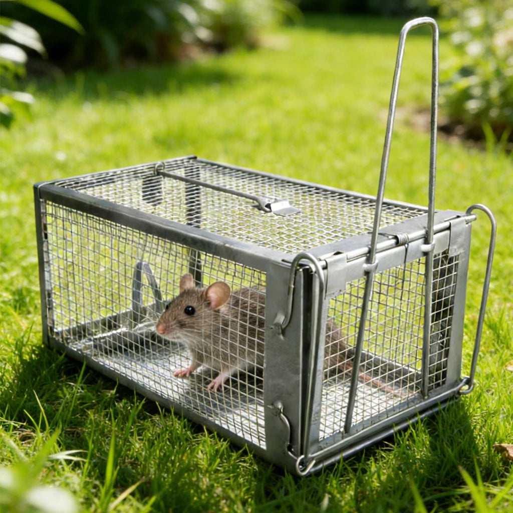 SafeNest Humane Rodent Cage Trap — Automatic Door Lock System