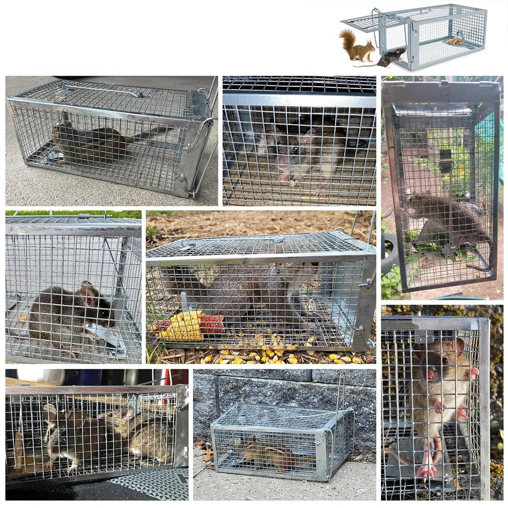 SafeNest Humane Rodent Cage Trap — Automatic Door Lock System