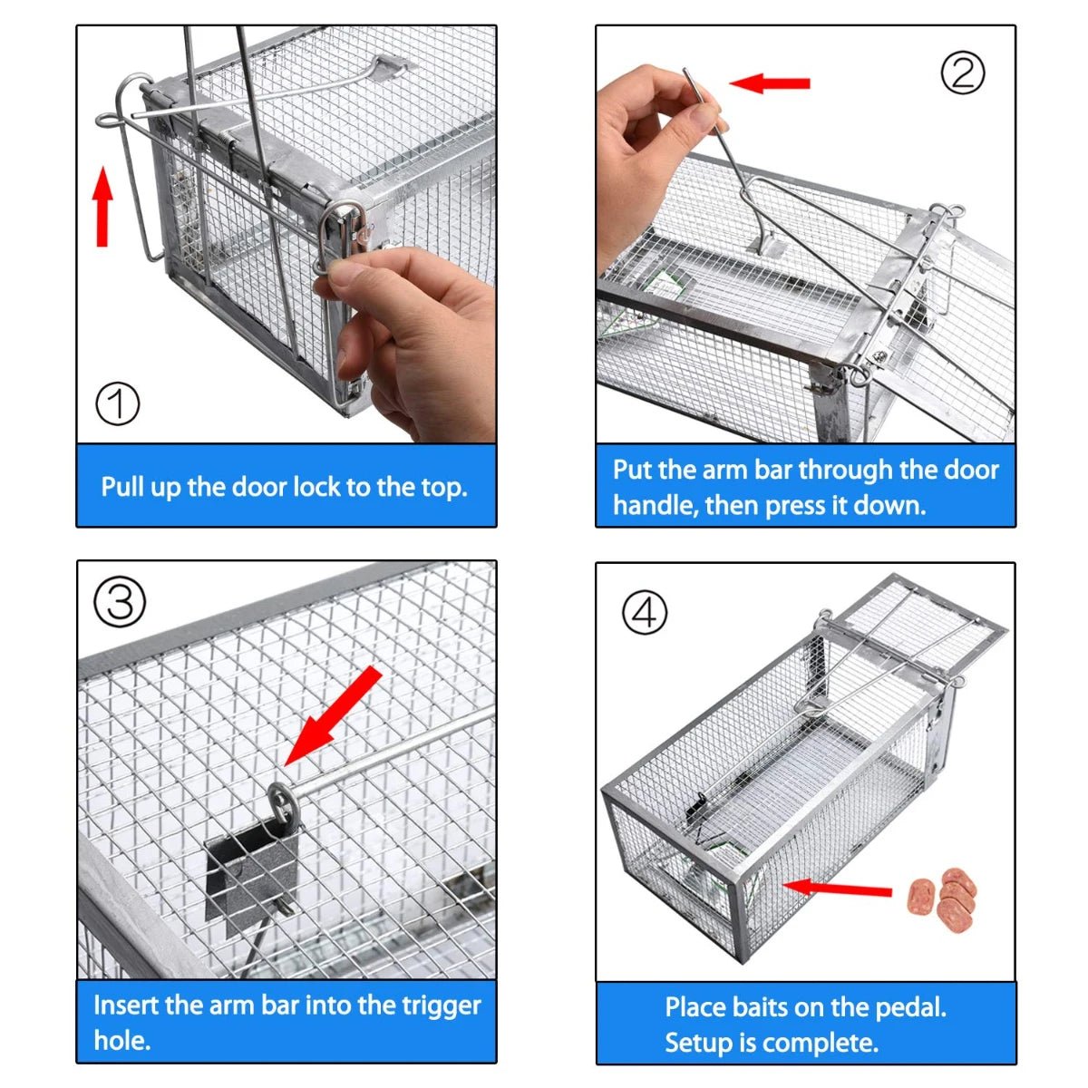 SafeNest Humane Rodent Cage Trap — Automatic Door Lock System