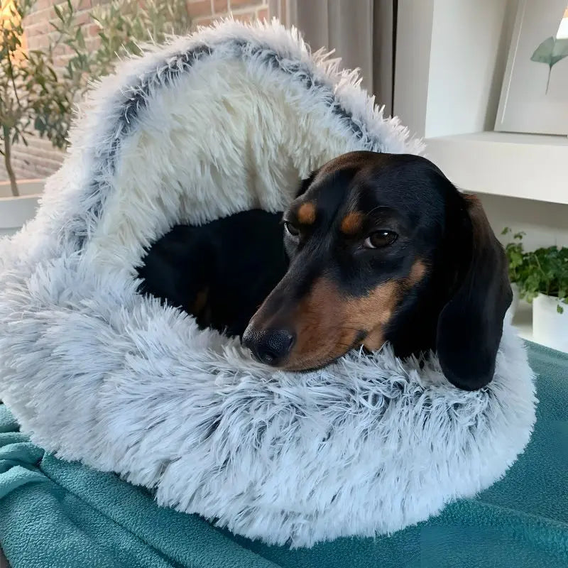 Cama mullida para gatos y perros pequeños - diseño cálido, protegido y antideslizante