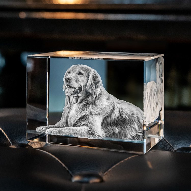 Souvenir en cristal 2D/3D — photo personnalisée, socle en bois lumineux
