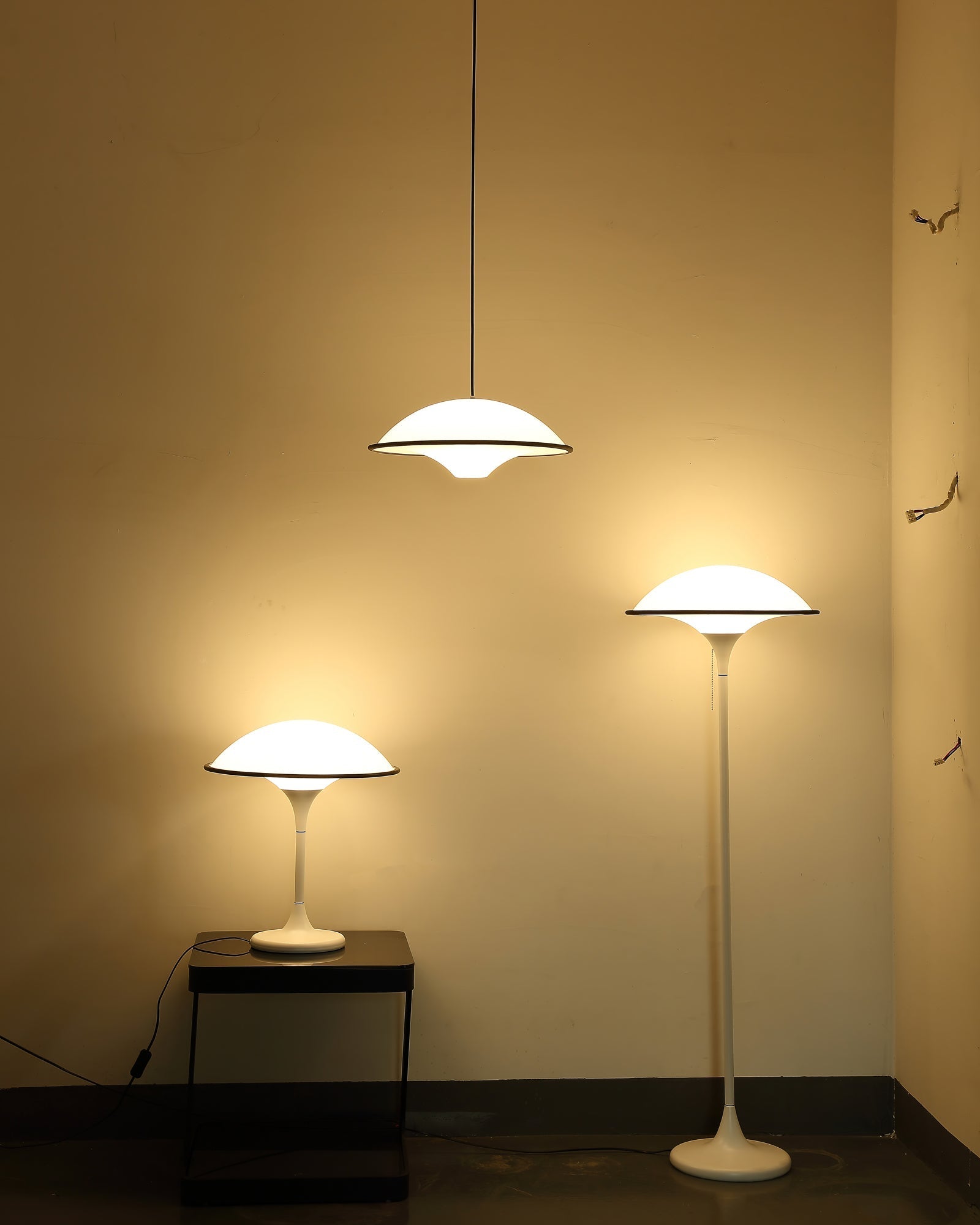 Marinella Acrylic Dome Table Lamp — Black Trim Detail