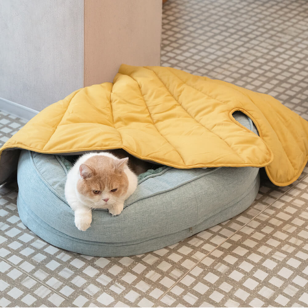 Cama donut para perros — espuma ortopédica, borde alto, antideslizante