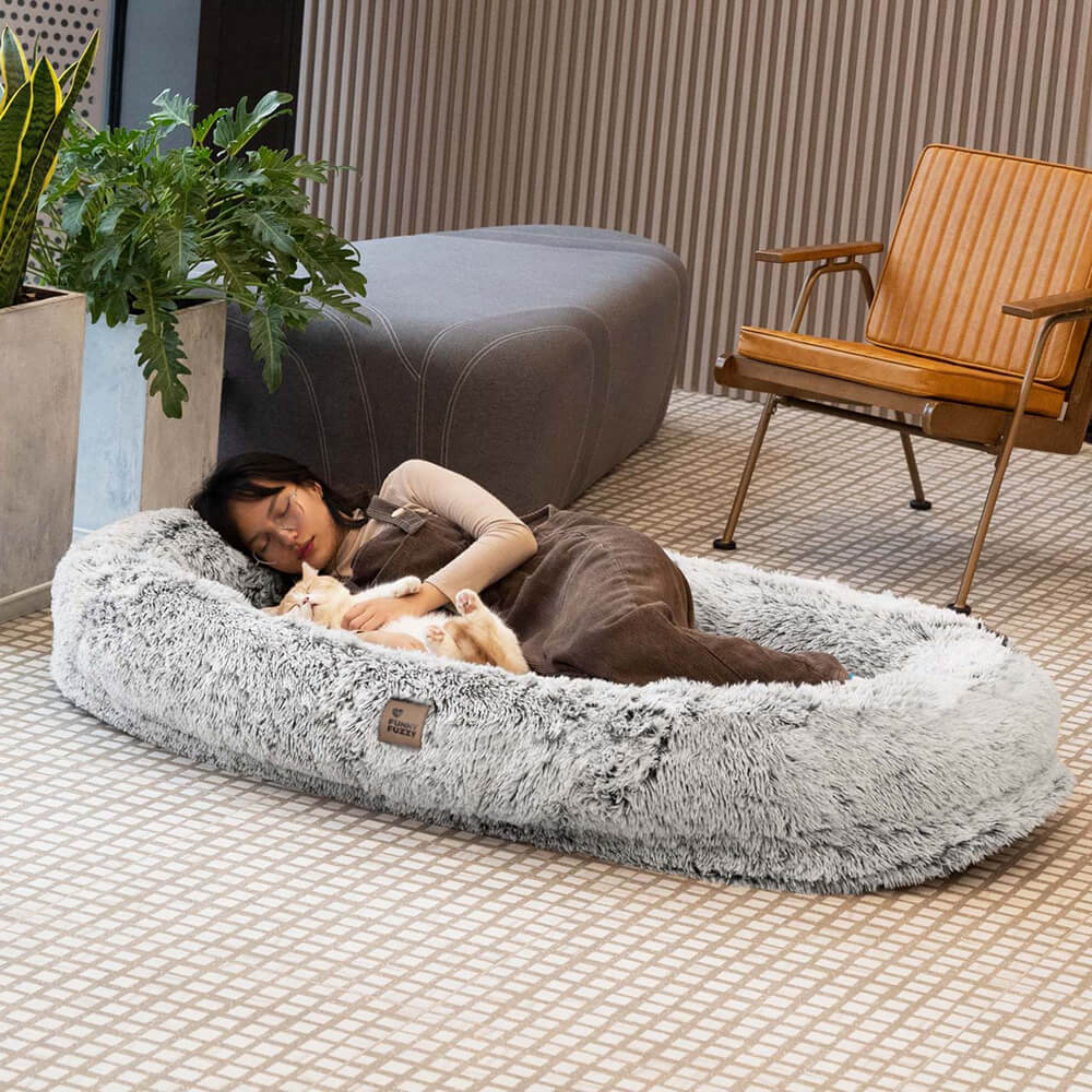 Cama donut para perros — espuma ortopédica, borde alto, antideslizante
