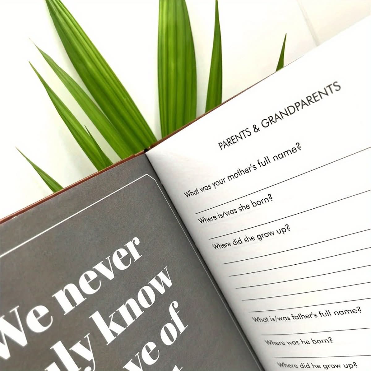 MemoryLine rodinný deník — odolné provedení desek, uspořádání s tematickými otázkami, pevná vazba