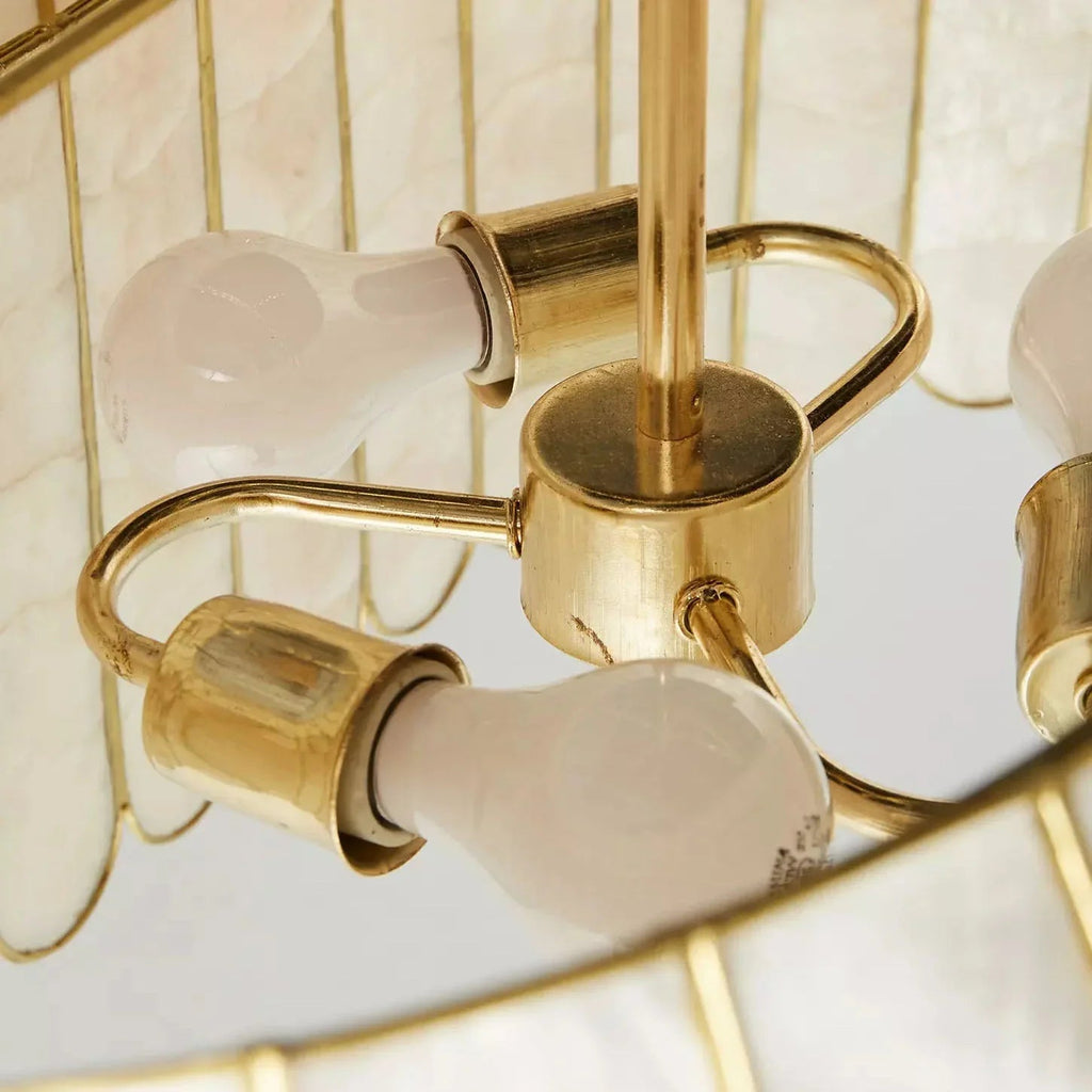 Light Luxury Shel Chandelier | wildoxy