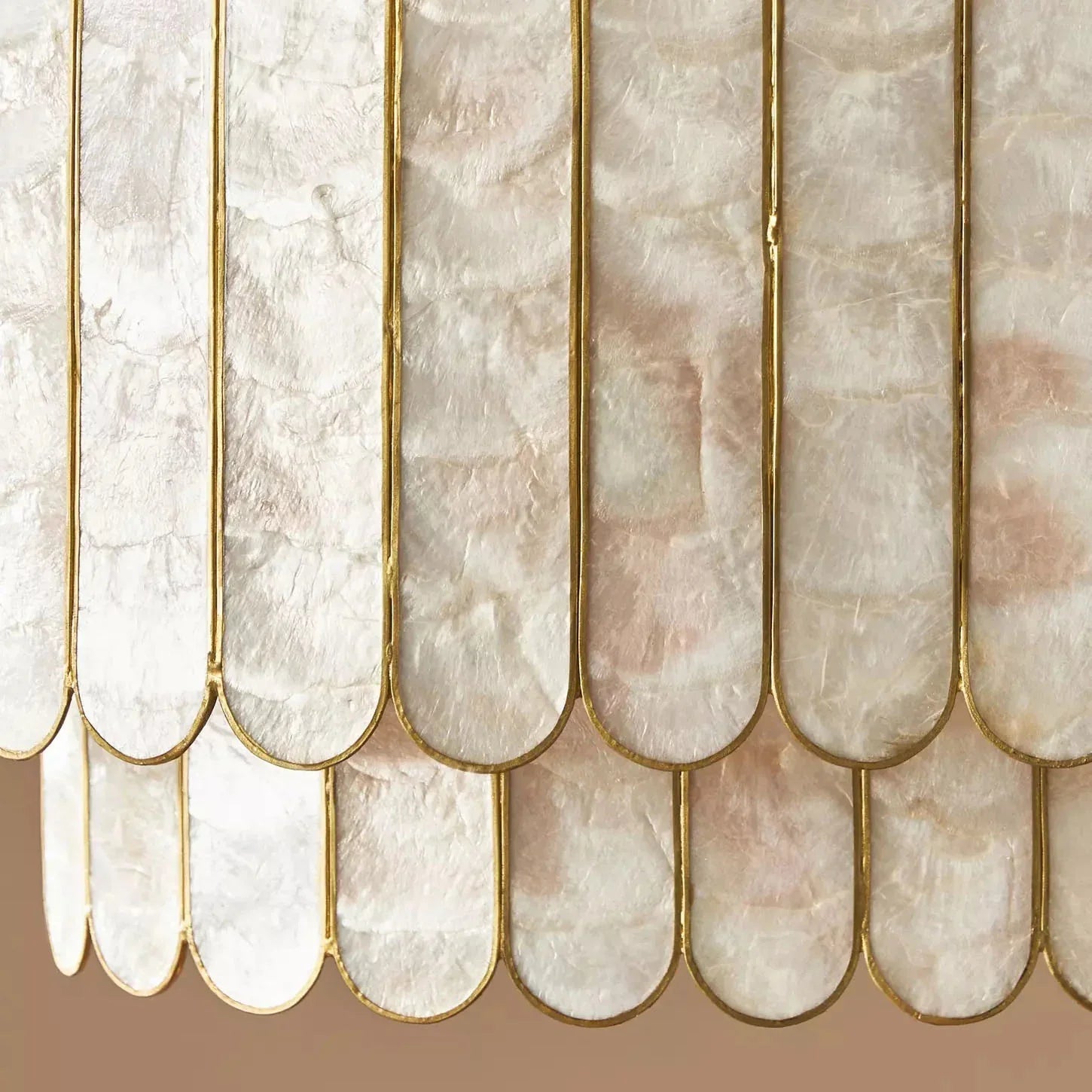 Light Luxury Shel Chandelier | wildoxy