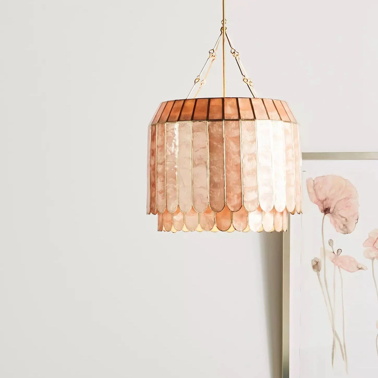 Light Luxury Shel Chandelier | wildoxy