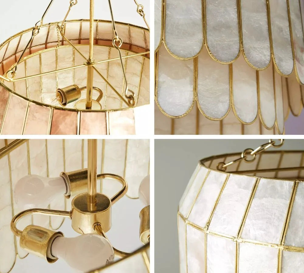 Light Luxury Shel Chandelier | wildoxy