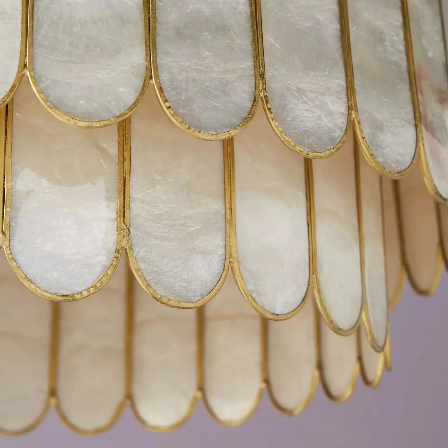 Light Luxury Shel Chandelier | wildoxy