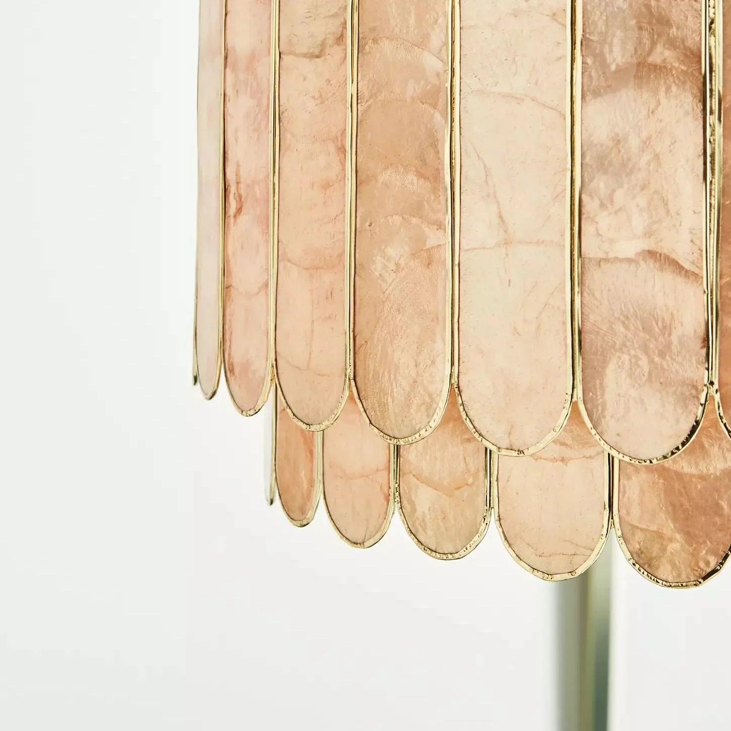 Light Luxury Shel Chandelier | wildoxy