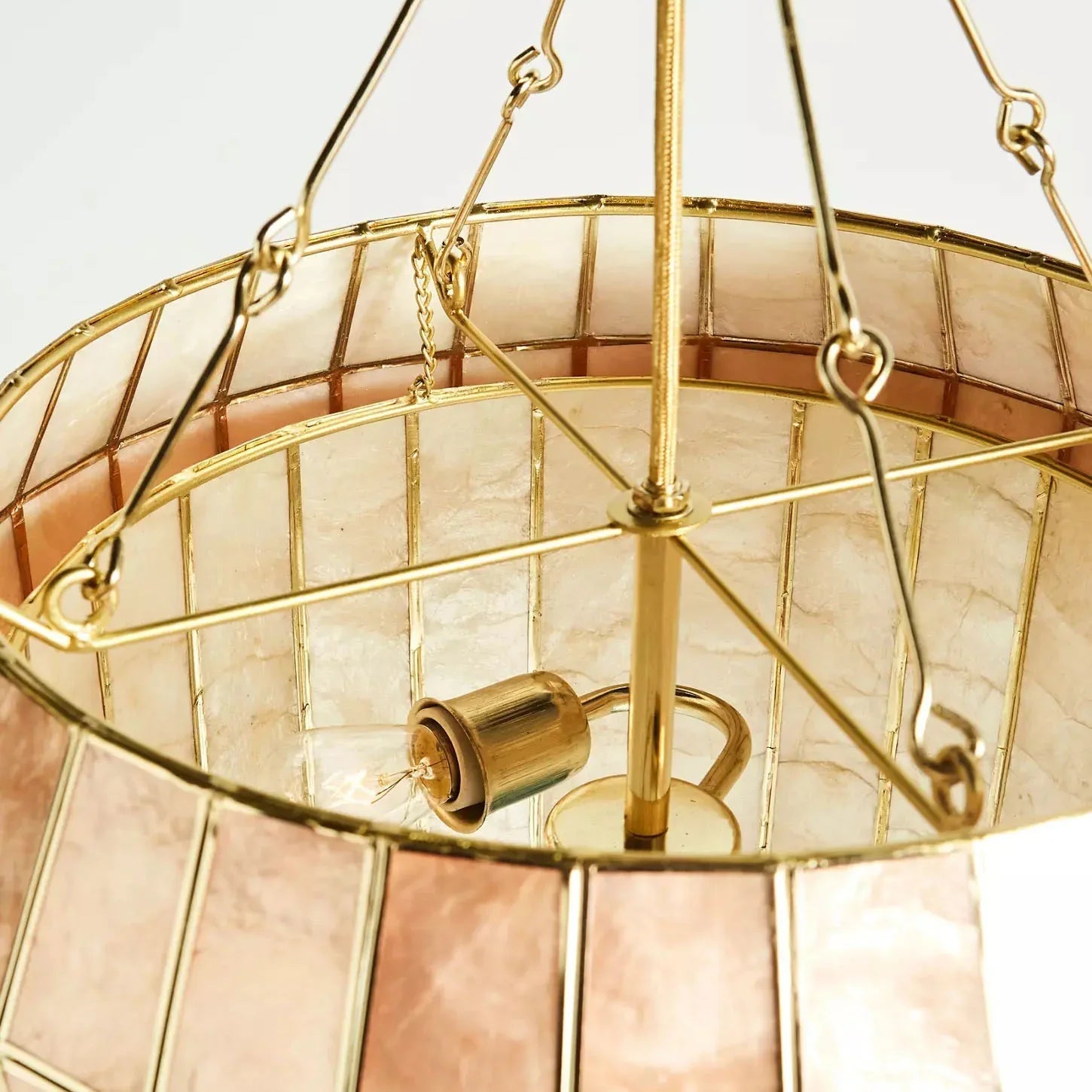 Light Luxury Shel Chandelier | wildoxy