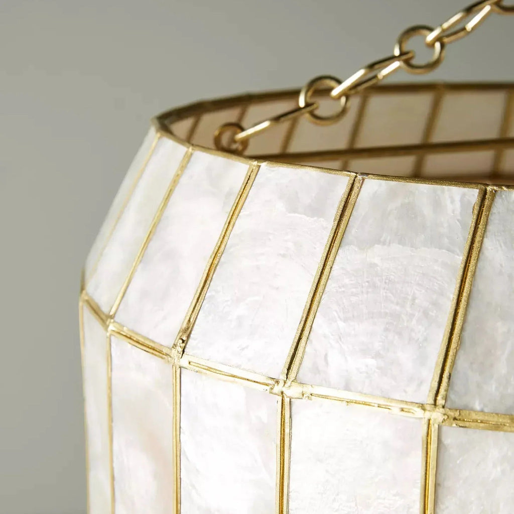 Light Luxury Shel Chandelier | wildoxy