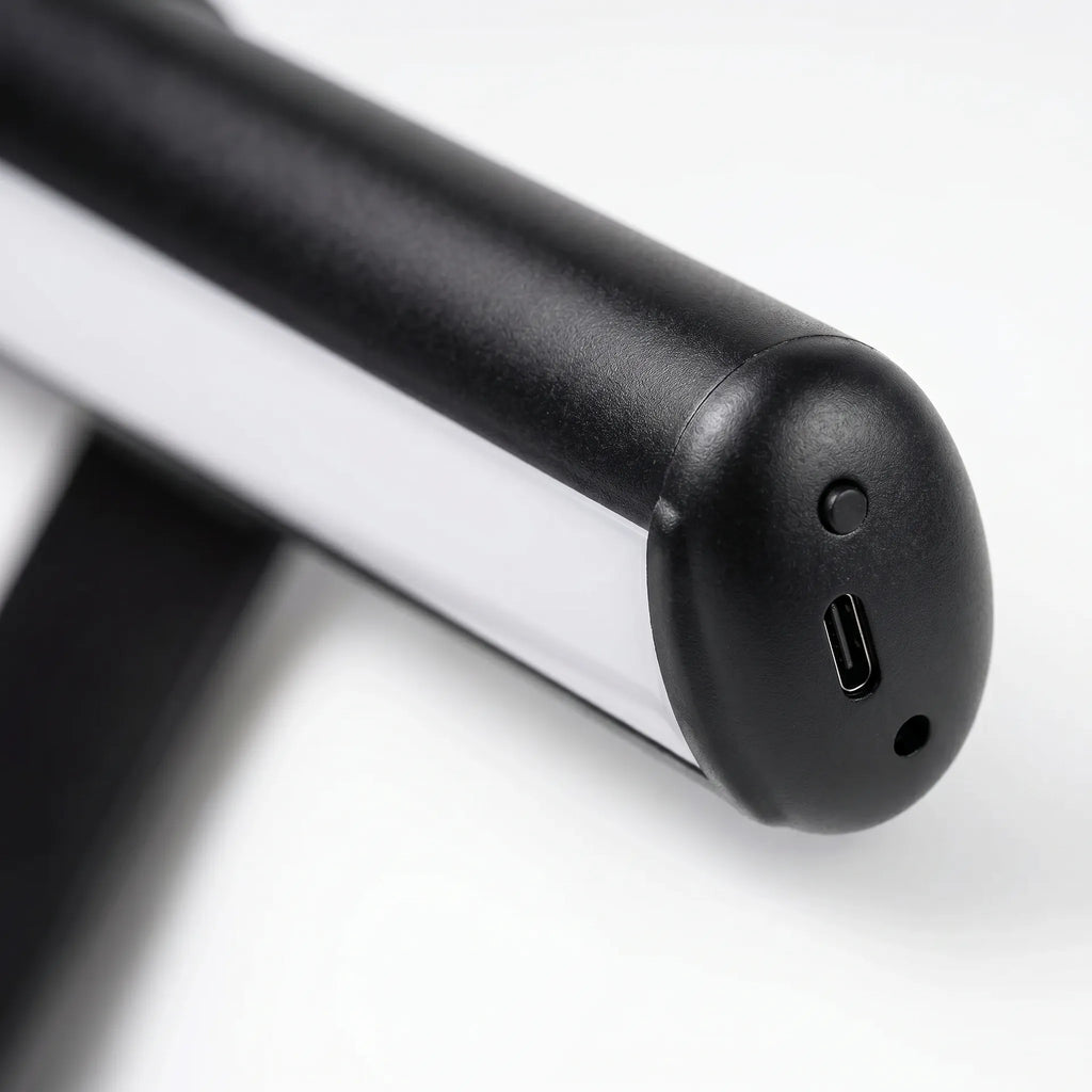 Rechargeable Picture Light -  Highlighting Artwork - Wildoxy