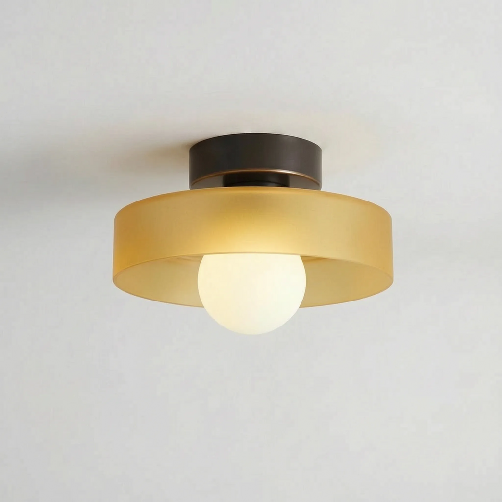 Modern Minimalist Ceiling Light -  Illuminating Small Spaces - Wildoxy