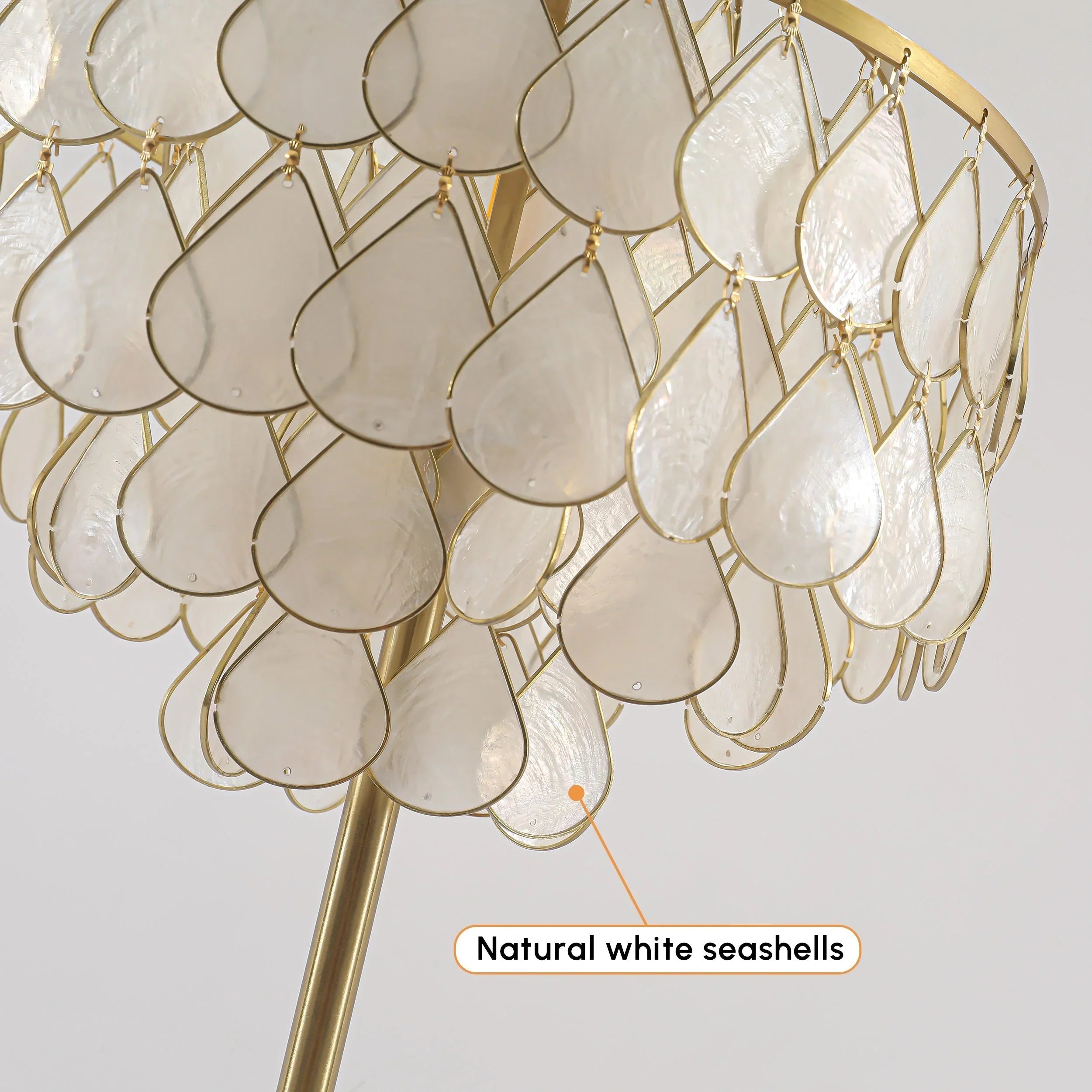 Teardrops Capiz Table Lamp | wildoxy