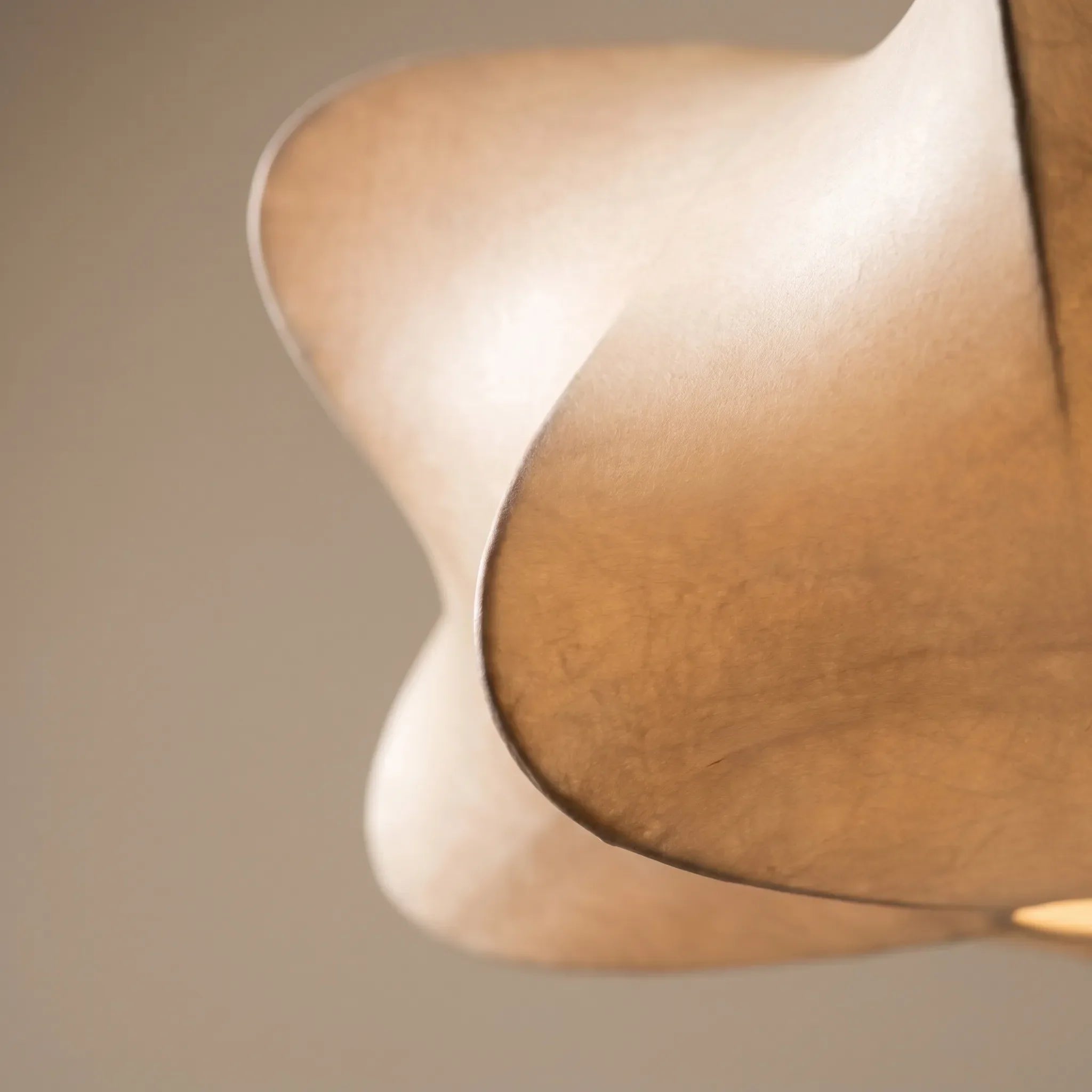 Sculptural Pendant Light -  Living Room Lighting - Wildoxy