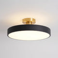 Modern Flush Mount -  Overhead Room Lighting - Wildoxy