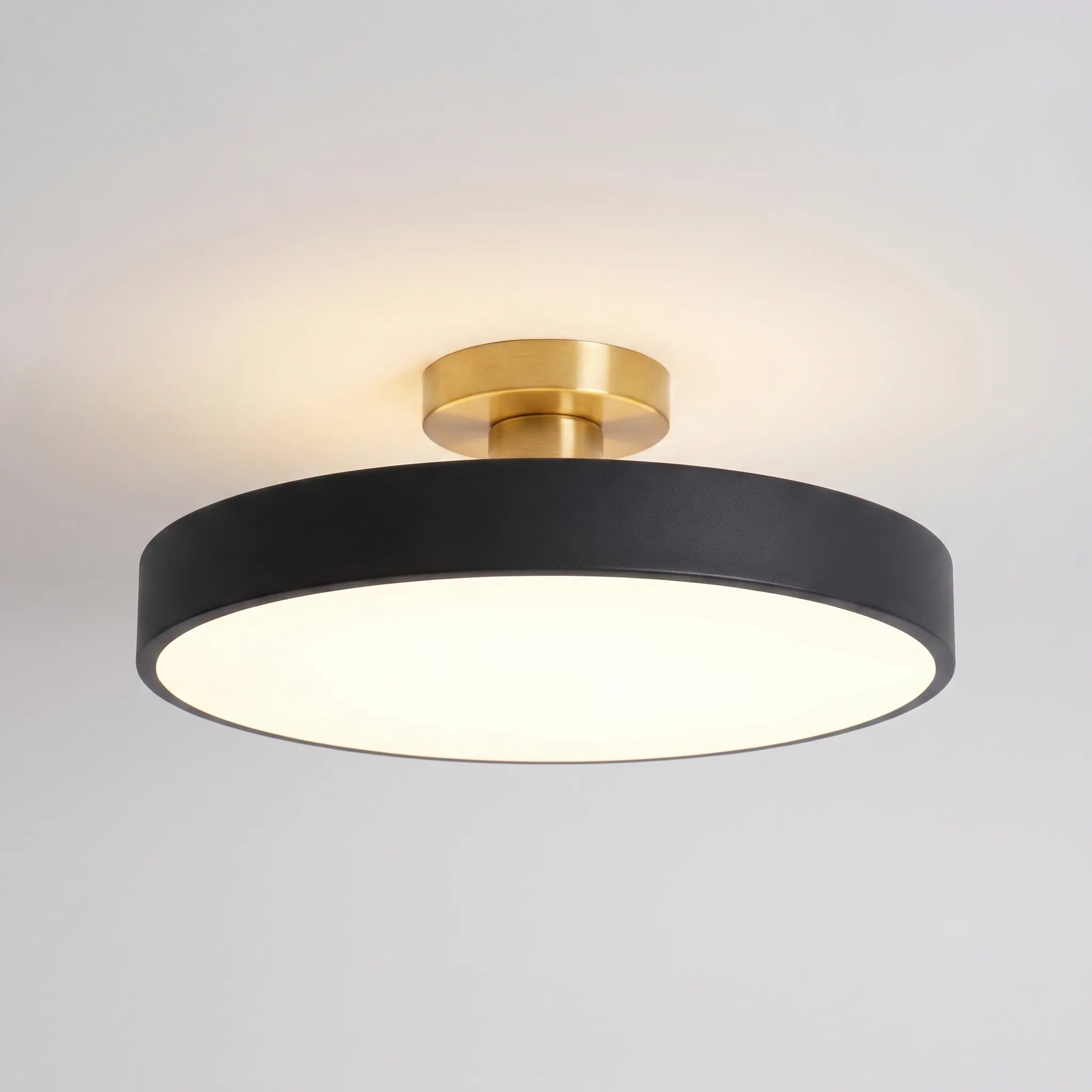 Modern Flush Mount -  Overhead Room Lighting - Wildoxy