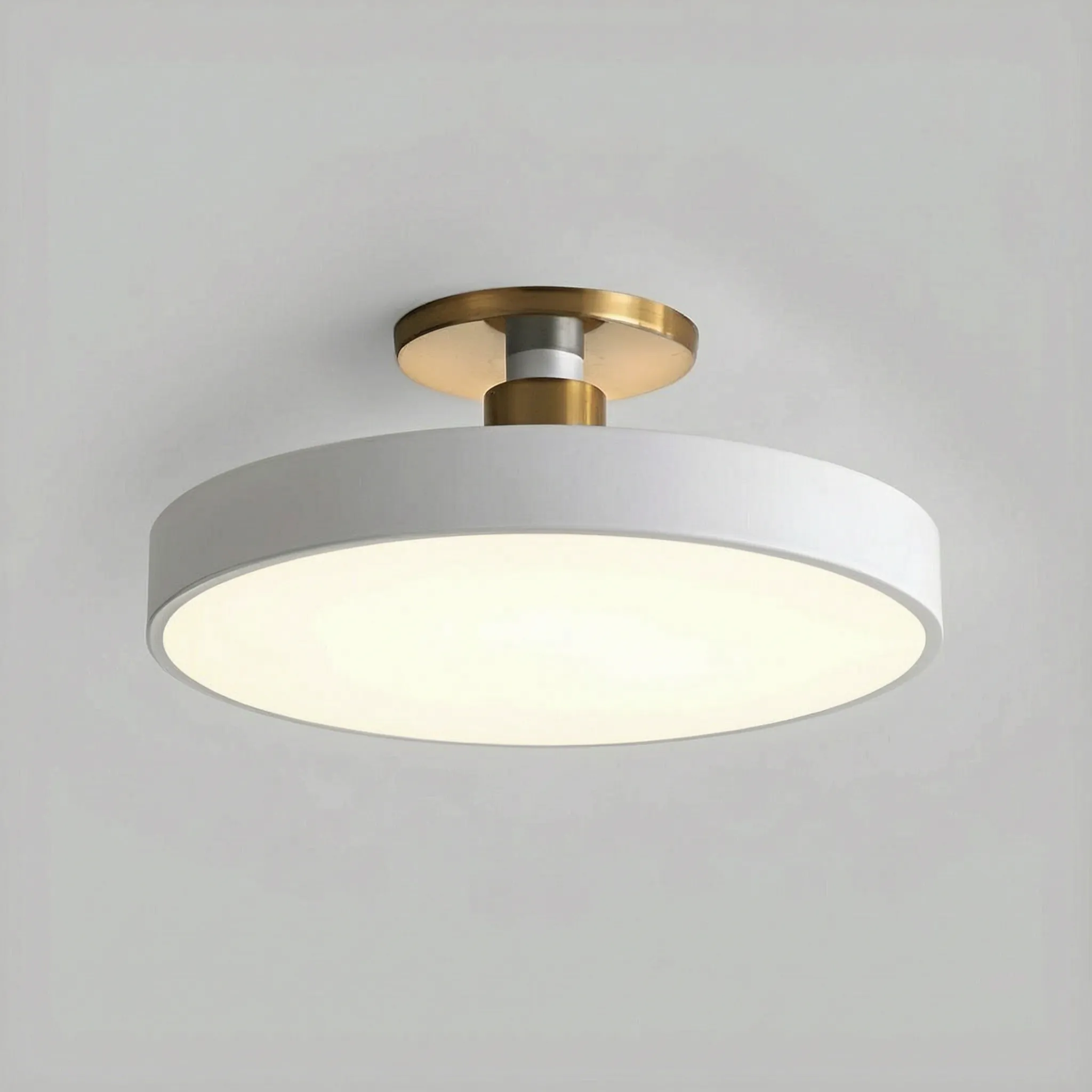 Modern Flush Mount -  Overhead Room Lighting - Wildoxy