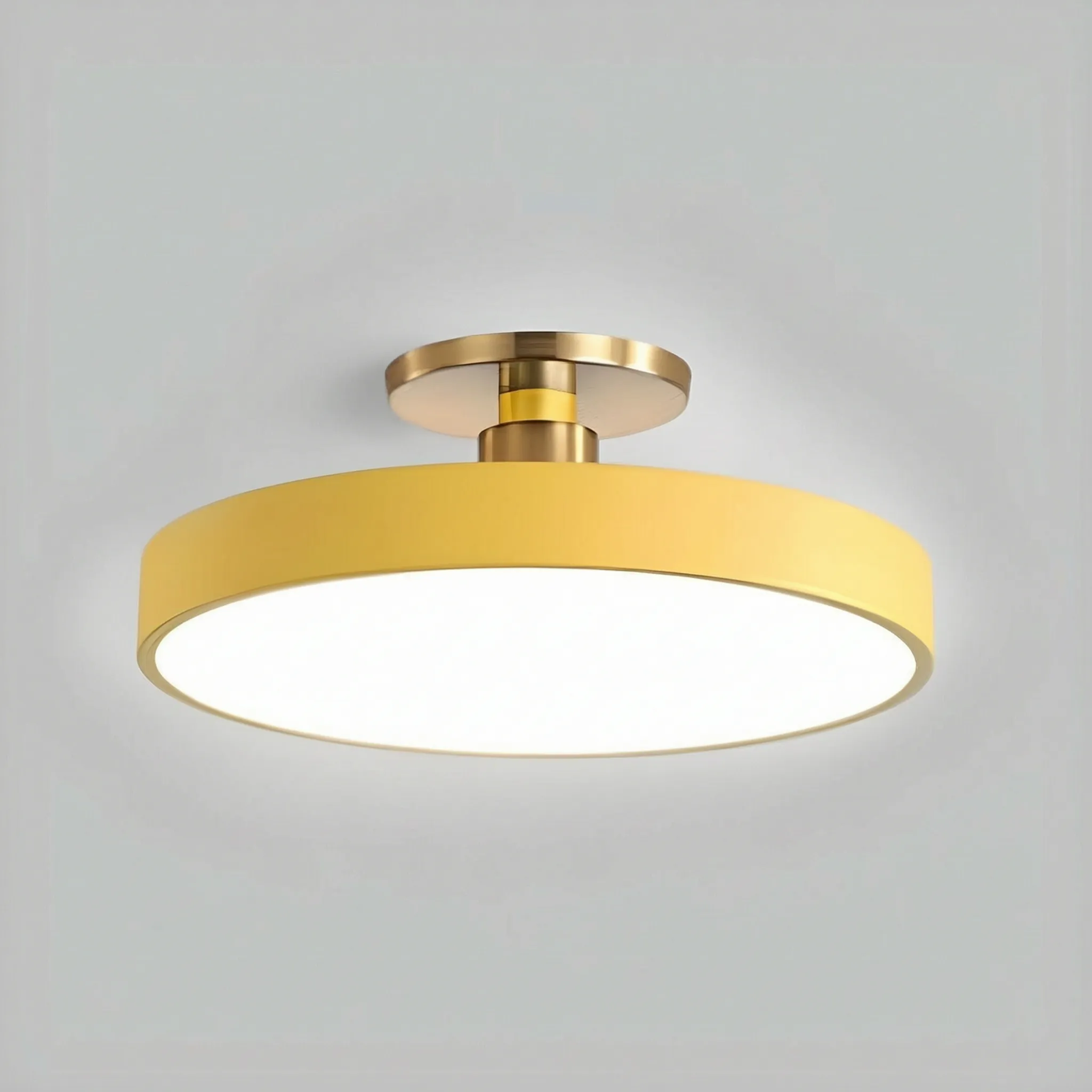 Modern Flush Mount -  Overhead Room Lighting - Wildoxy