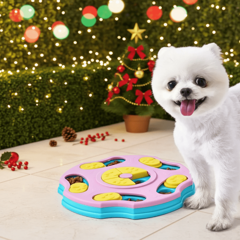 PawsPath Slow Feeding Puzzle – Non-Slip Surface, All-Size Interactive Feeder