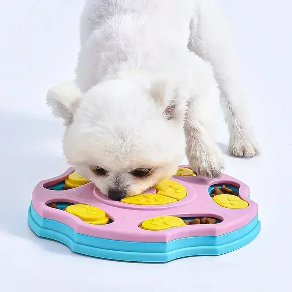 PawsPath Slow Feeding Puzzle – Non-Slip Surface, All-Size Interactive Feeder