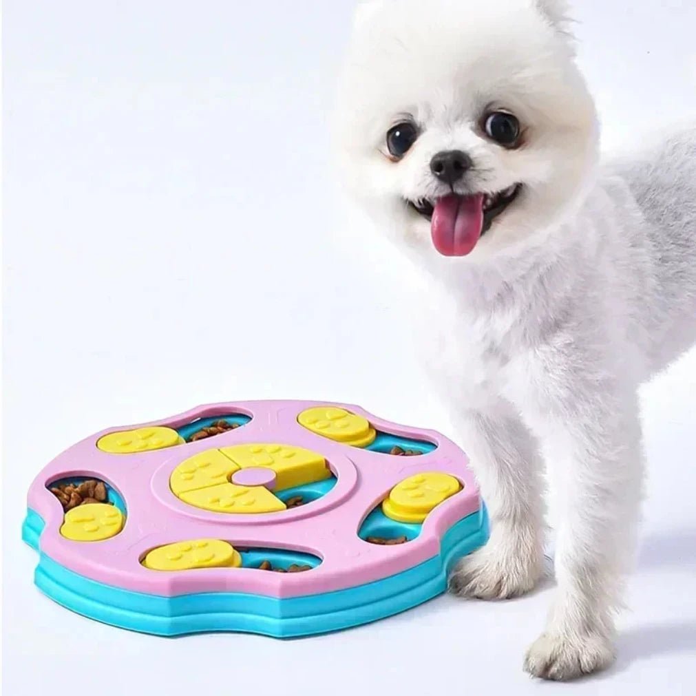PawsPath Slow Feeding Puzzle – Non-Slip Surface, All-Size Interactive Feeder