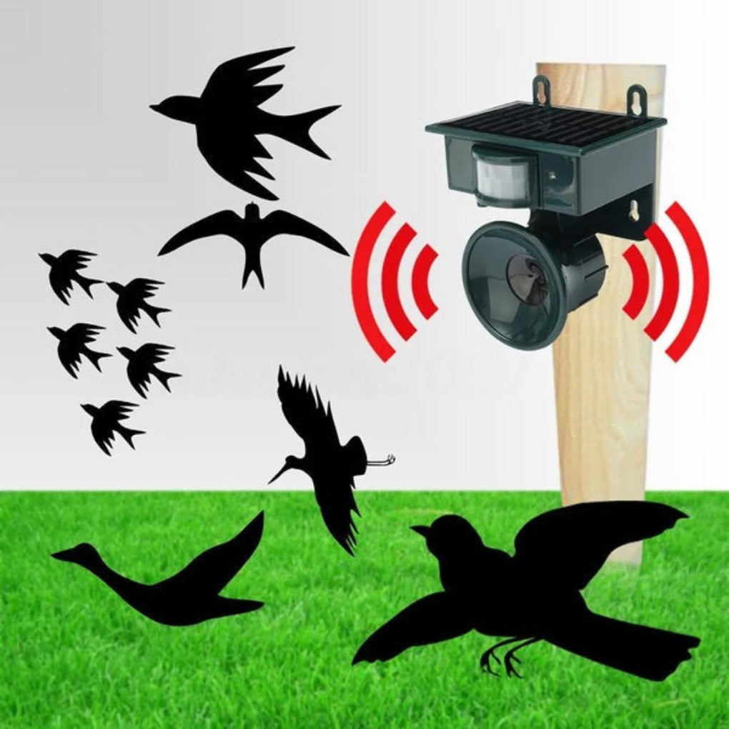 Fågelskrämma med rörelsesensor — ultraljudsskrämma för kråkor