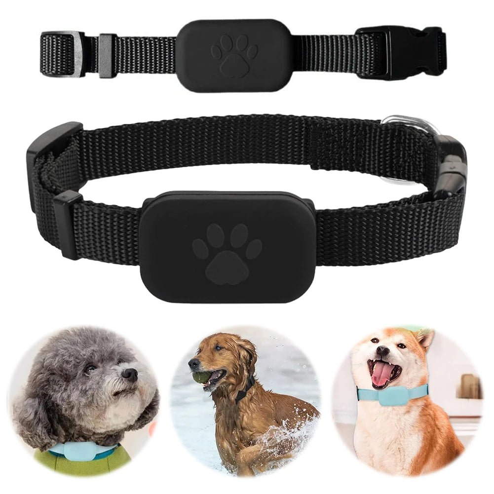 NovaTrack GPS Pet Tracker — Adjustable Collar Fit for Dogs and Cats