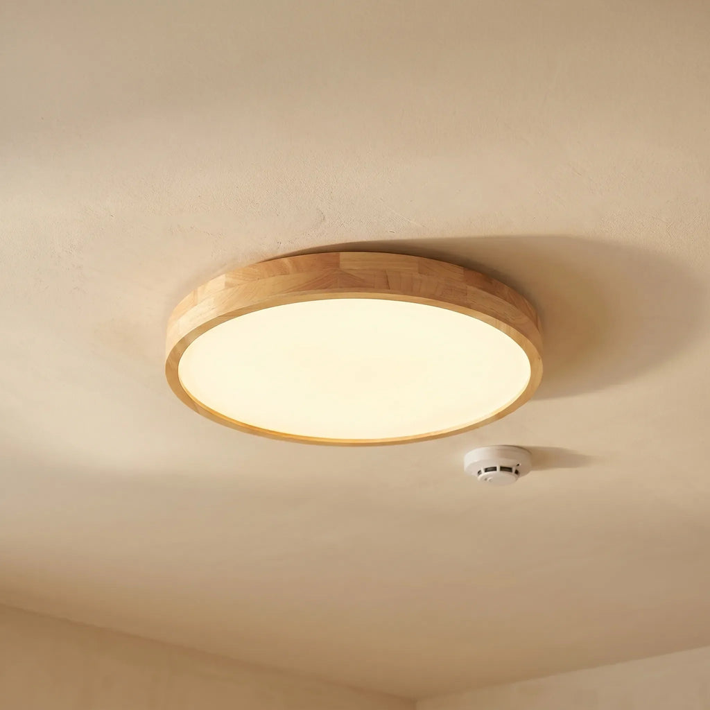 Round Flush Mounted Ceiling Light -  Illuminating Living Rooms - Wildoxy