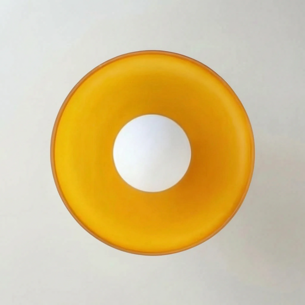Modern Disc Ceiling Light -  Illuminating Indoor Spaces - Wildoxy