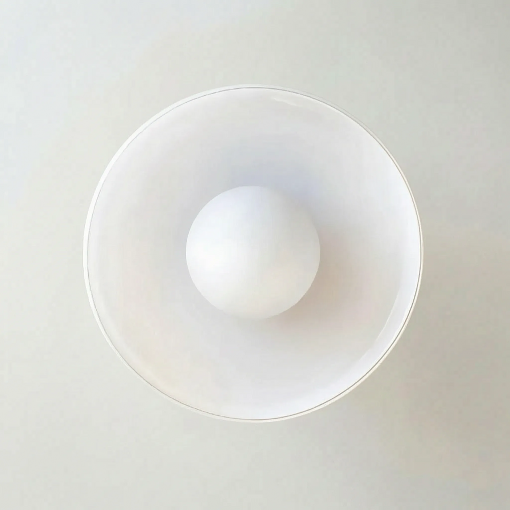 Modern Disc Ceiling Light -  Illuminating Indoor Spaces - Wildoxy