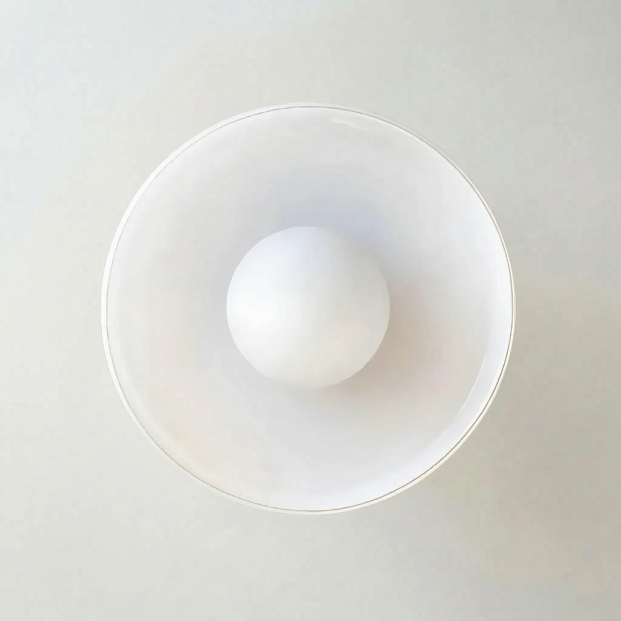Modern Disc Ceiling Light -  Illuminating Indoor Spaces - Wildoxy