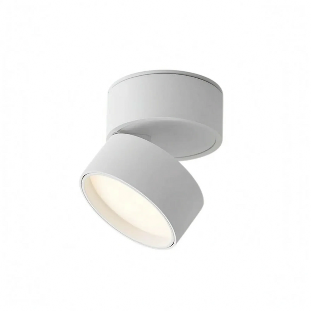 Cylindrical Surface Mounted Ceiling Downlight -  Illuminating Dark Hallways - Wildoxy