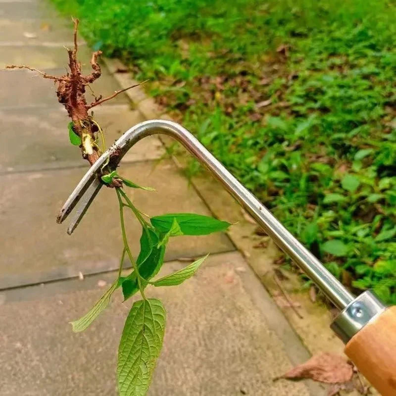 Kit manuale per diserbo Carbex — Set di attrezzi da giardino in acciaio al carbonio