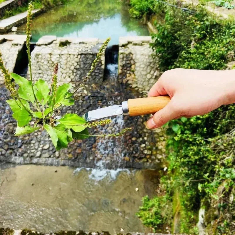 Kit manuale per diserbo Carbex — Set di attrezzi da giardino in acciaio al carbonio