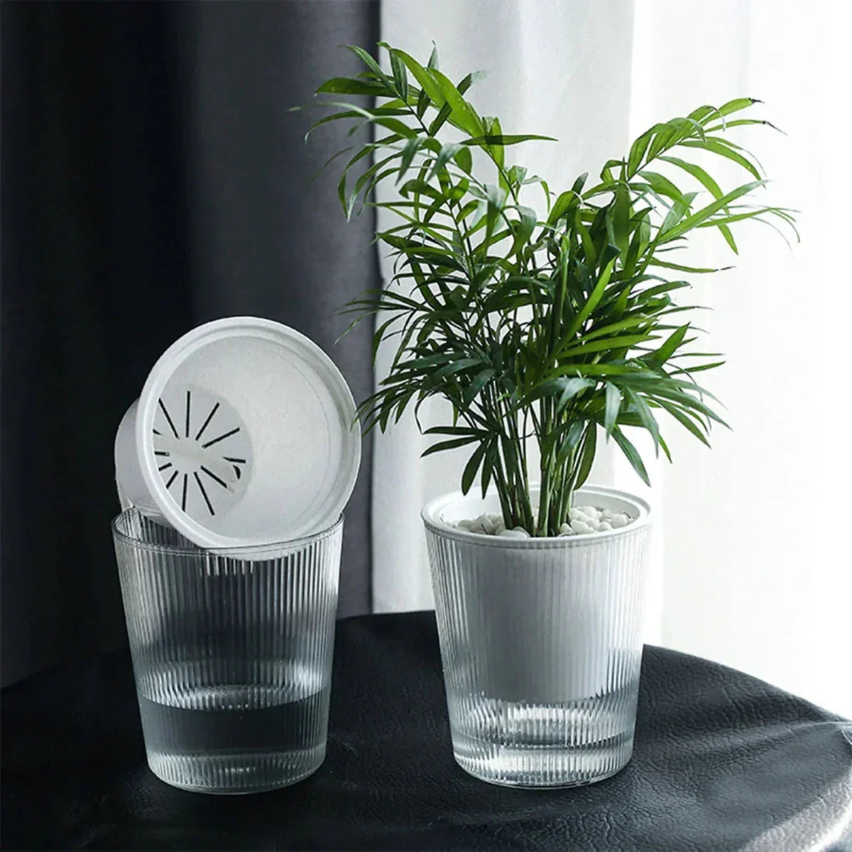 CLEARBLOOM 自动浇水花盆 - 晶莹透明外壳，内置储水槽