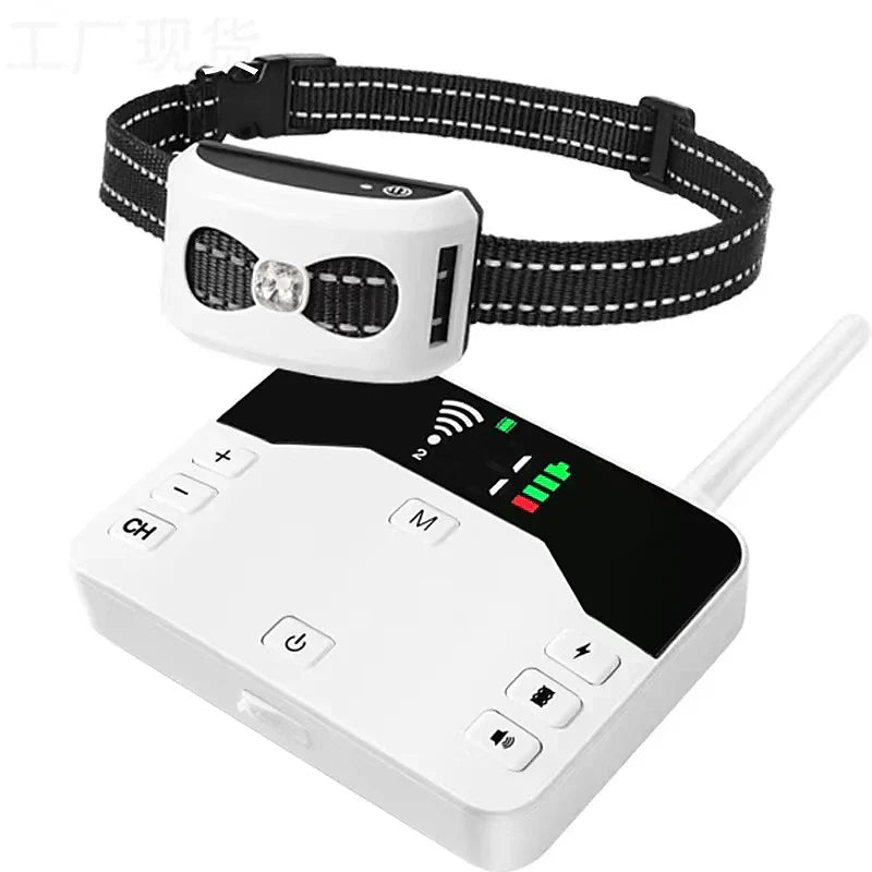 Collier anti-fugue sans fil 2-en-1 — Étanche, rechargeable, 300 m