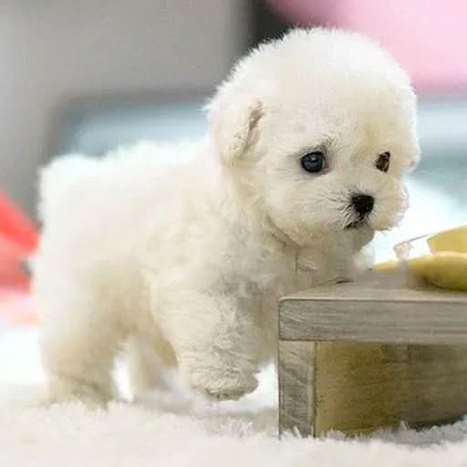 FurMotion Friend Realistický plyšový pes — živé detaily, design mazlivého společníka